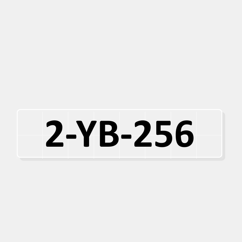 Boot Registrierung (Typ 2)