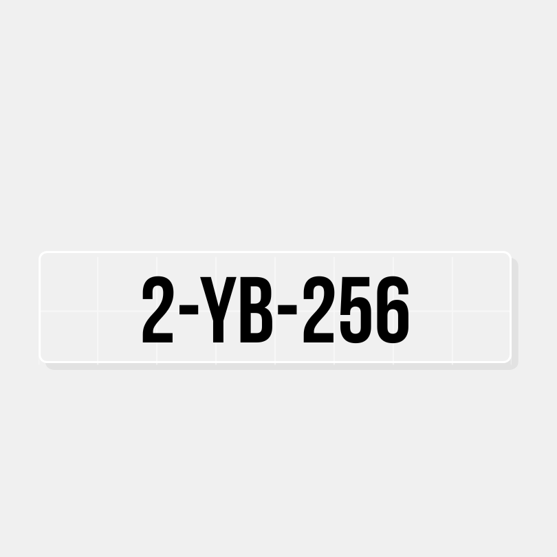 Boot Registrierung (Typ 1)